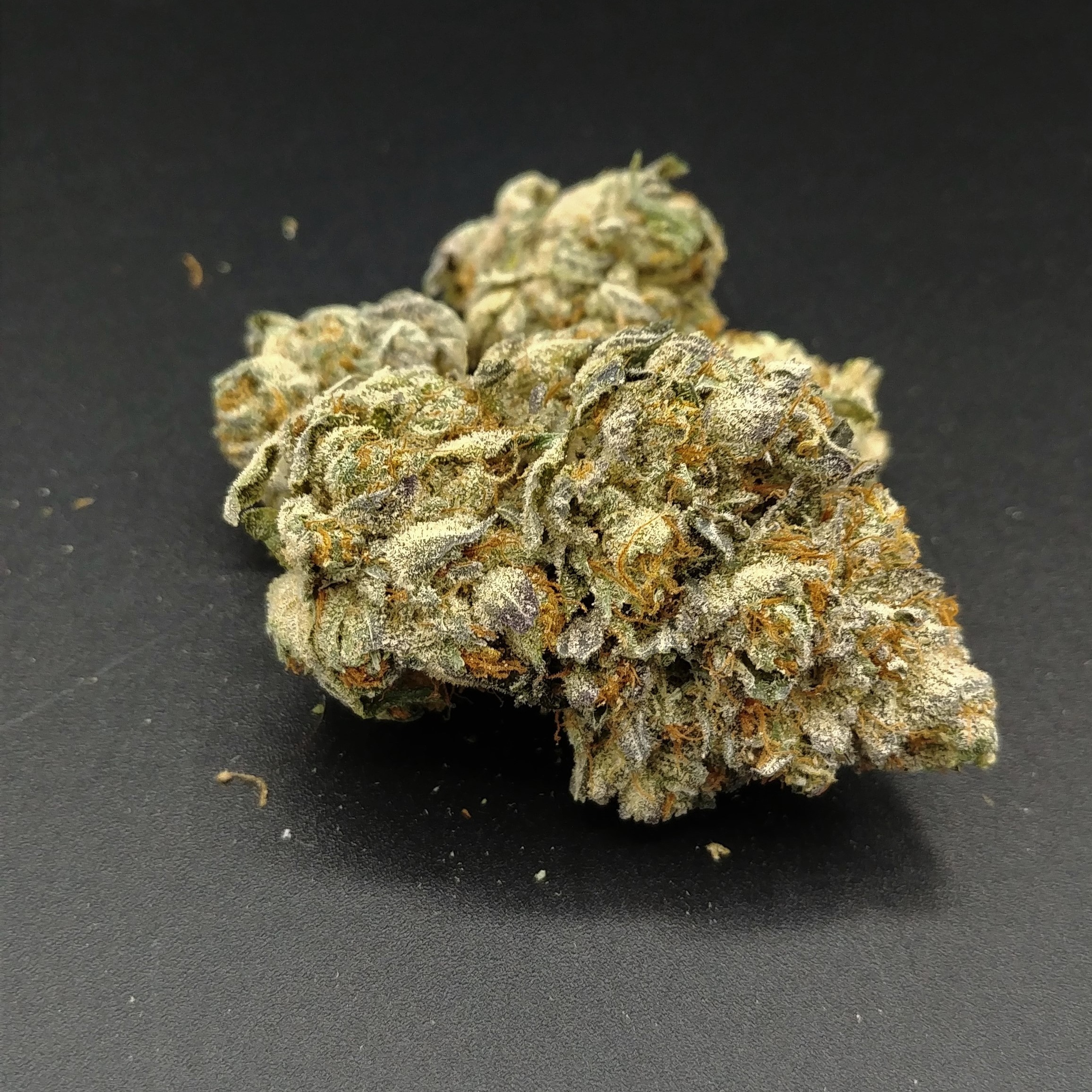 (REC) Cataract Kush